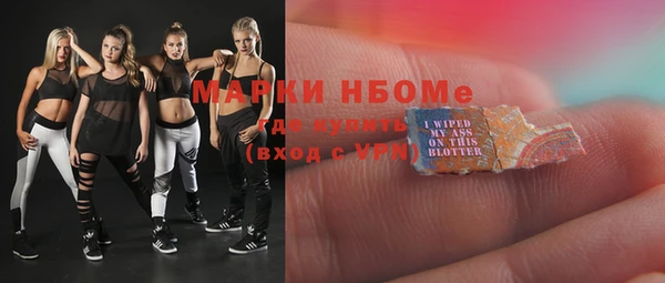 mix Богородицк