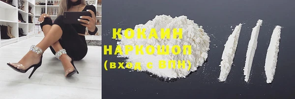 mix Богородицк