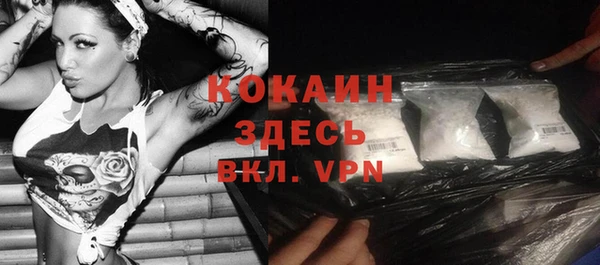 mix Богородицк