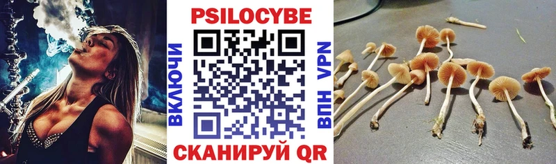 Псилоцибиновые грибы MAGIC MUSHROOMS Наро-Фоминск